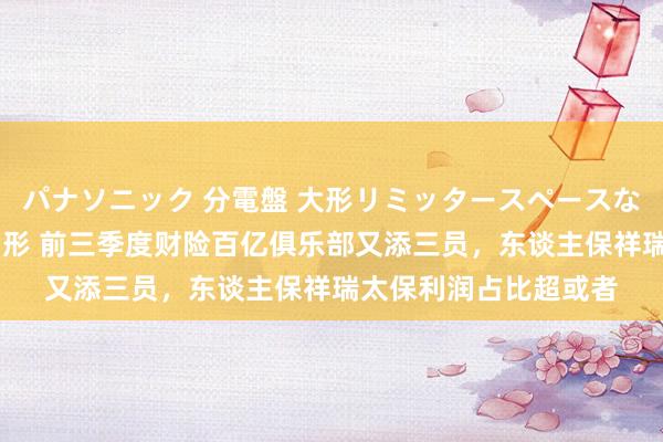 パナソニック 分電盤 大形リミッタースペースなし 露出・半埋込両用形 前三季度财险百亿俱乐部又添三员，东谈主保祥瑞太保利润占比超或者