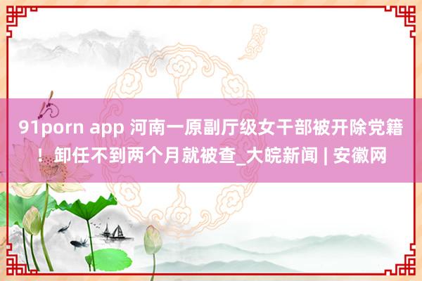 91porn app 河南一原副厅级女干部被开除党籍！卸任不到两个月就被查_大皖新闻 | 安徽网