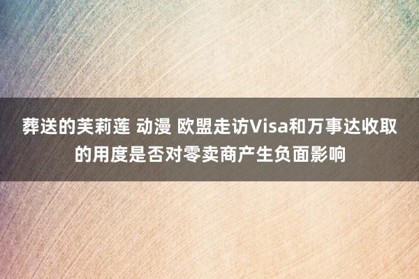 葬送的芙莉莲 动漫 欧盟走访Visa和万事达收取的用度是否对零卖商产生负面影响
