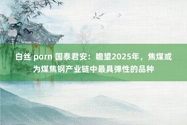 白丝 porn 国泰君安：瞻望2025年，焦煤或为煤焦钢产业链中最具弹性的品种