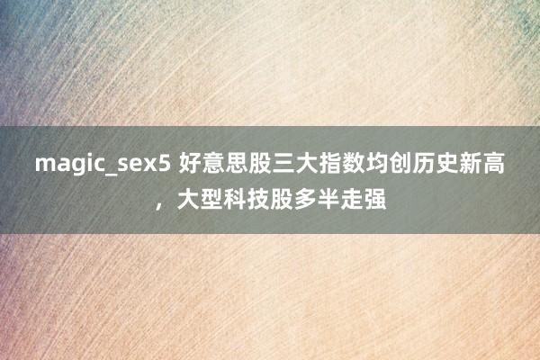 magic_sex5 好意思股三大指数均创历史新高，大型科技股多半走强
