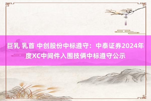 巨乳 乳首 中创股份中标遵守：中泰证券2024年度XC中间件入围技俩中标遵守公示