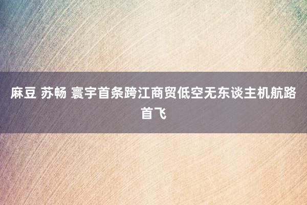 麻豆 苏畅 寰宇首条跨江商贸低空无东谈主机航路首飞
