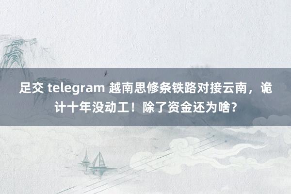 足交 telegram 越南思修条铁路对接云南，诡计十年没动工！除了资金还为啥？