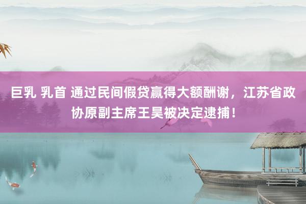 巨乳 乳首 通过民间假贷赢得大额酬谢，江苏省政协原副主席王昊被决定逮捕！
