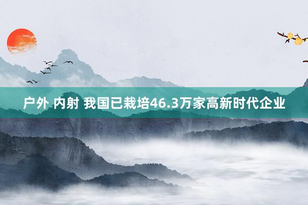 户外 内射 我国已栽培46.3万家高新时代企业