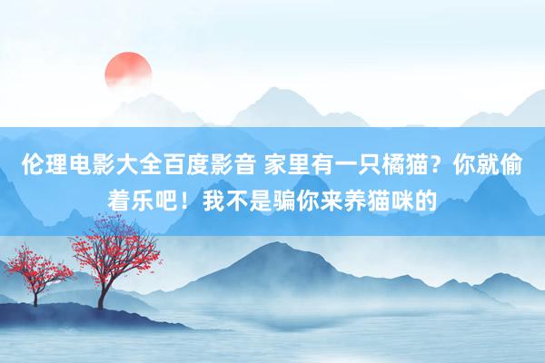 伦理电影大全百度影音 家里有一只橘猫？你就偷着乐吧！我不是骗你来养猫咪的