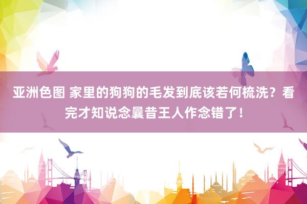 亚洲色图 家里的狗狗的毛发到底该若何梳洗？看完才知说念曩昔王人作念错了！