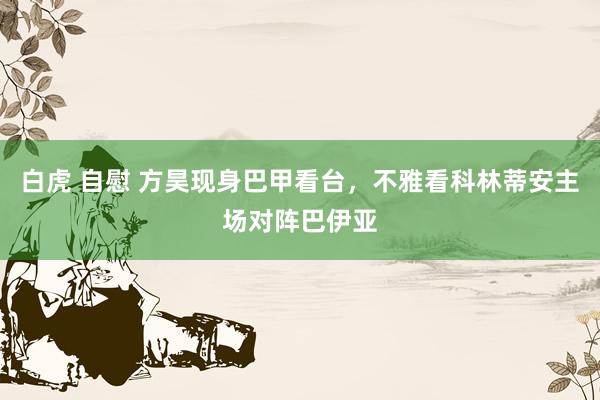 白虎 自慰 方昊现身巴甲看台，不雅看科林蒂安主场对阵巴伊亚