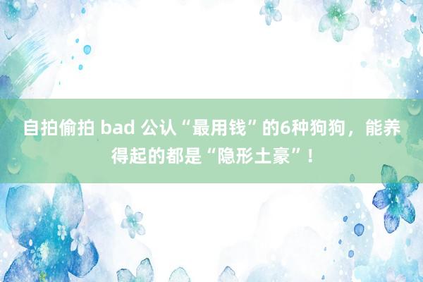 自拍偷拍 bad 公认“最用钱”的6种狗狗，能养得起的都是“隐形土豪”！