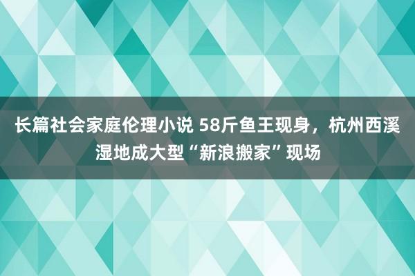 长篇社会家庭伦理小说 58斤鱼王现身，杭州西溪湿地成大型“新浪搬家”现场