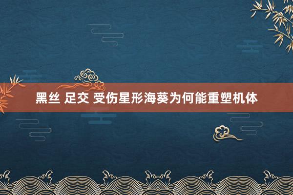 黑丝 足交 受伤星形海葵为何能重塑机体
