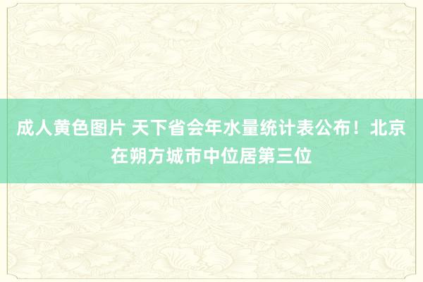 成人黄色图片 天下省会年水量统计表公布！北京在朔方城市中位居第三位