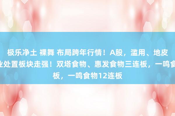 极乐净土 裸舞 布局跨年行情！A股，滥用、地皮流转、物业处置板块走强！双塔食物、惠发食物三连板，一鸣食物12连板