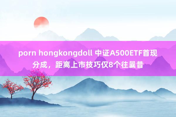 porn hongkongdoll 中证A500ETF首现分成，距离上市技巧仅8个往曩昔
