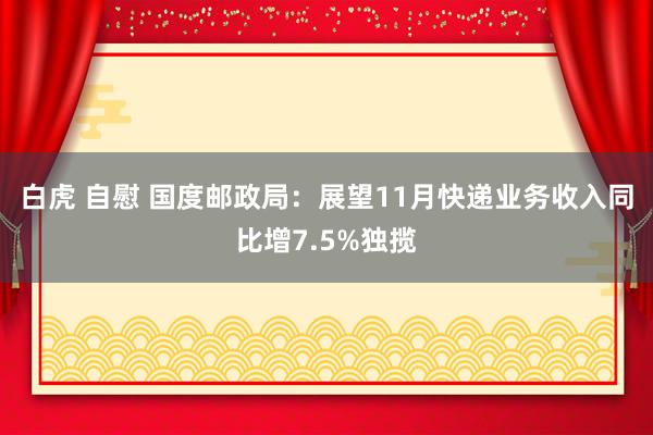 白虎 自慰 国度邮政局：展望11月快递业务收入同比增7.5%独揽