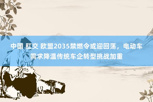 中国 肛交 欧盟2035禁燃令或迎回荡，电动车需求降温传统车企转型挑战加重