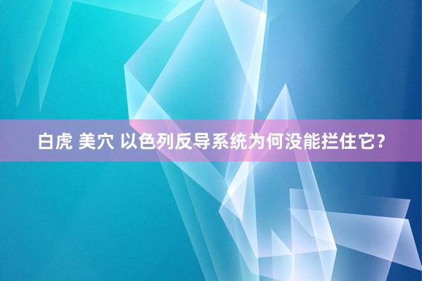 白虎 美穴 以色列反导系统为何没能拦住它？