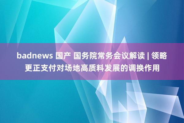 badnews 国产 国务院常务会议解读 | 领略更正支付对场地高质料发展的调换作用