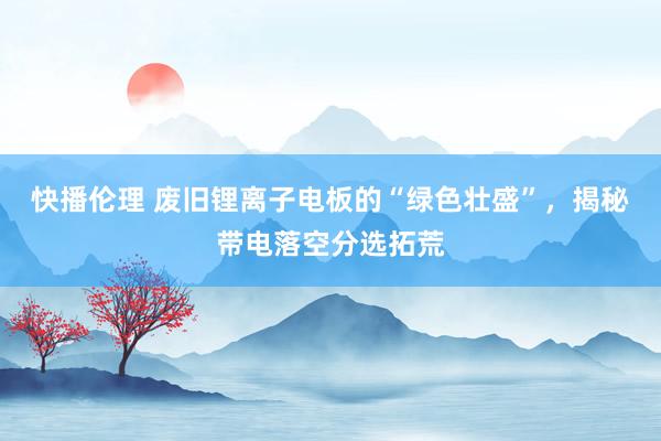 快播伦理 废旧锂离子电板的“绿色壮盛”，揭秘带电落空分选拓荒