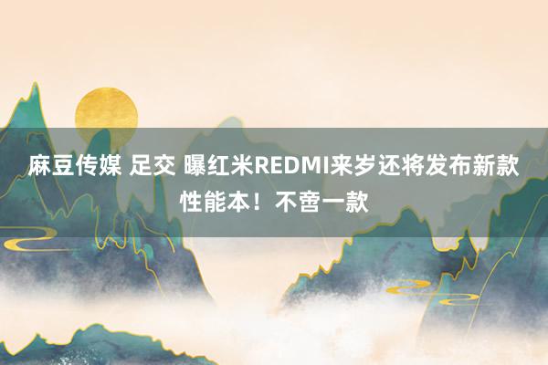 麻豆传媒 足交 曝红米REDMI来岁还将发布新款性能本！不啻一款