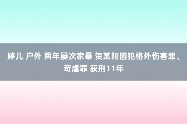 婷儿 户外 两年屡次家暴 贺某阳因犯格外伤害罪、苛虐罪 获刑11年