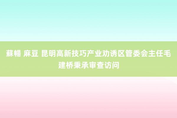 蘇暢 麻豆 昆明高新技巧产业劝诱区管委会主任毛建桥秉承审查访问
