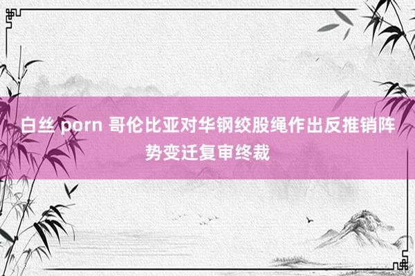 白丝 porn 哥伦比亚对华钢绞股绳作出反推销阵势变迁复审终裁