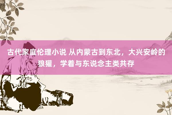 古代家庭伦理小说 从内蒙古到东北，大兴安岭的狼獾，学着与东说念主类共存