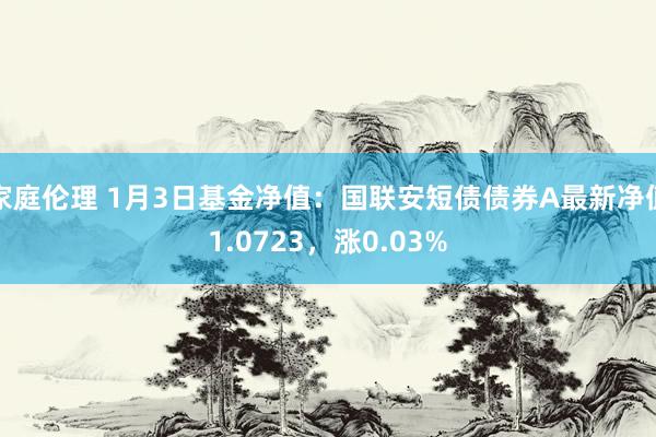 家庭伦理 1月3日基金净值：国联安短债债券A最新净值1.0723，涨0.03%