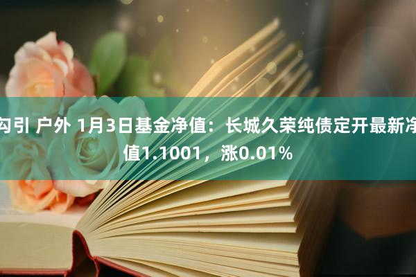 勾引 户外 1月3日基金净值：长城久荣纯债定开最新净值1.1001，涨0.01%