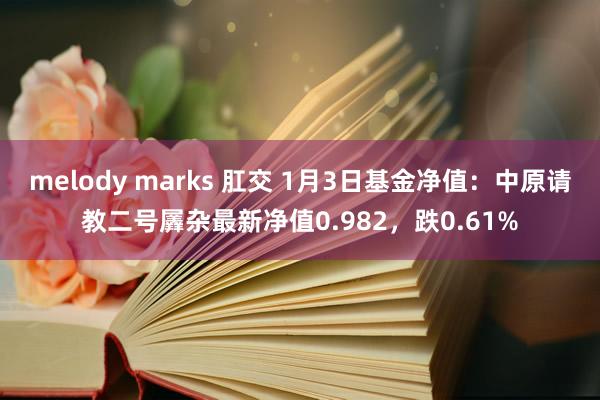 melody marks 肛交 1月3日基金净值：中原请教二号羼杂最新净值0.982，跌0.61%