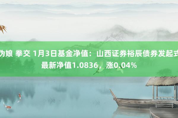 伪娘 拳交 1月3日基金净值：山西证券裕辰债券发起式最新净值1.0836，涨0.04%