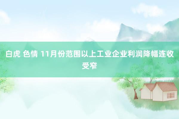 白虎 色情 11月份范围以上工业企业利润降幅连收受窄