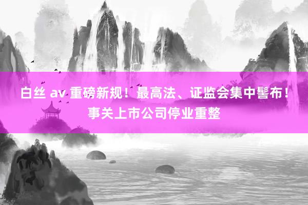 白丝 av 重磅新规！最高法、证监会集中髻布！事关上市公司停业重整