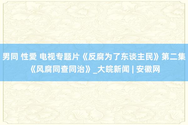 男同 性愛 电视专题片《反腐为了东谈主民》第二集《风腐同查同治》_大皖新闻 | 安徽网