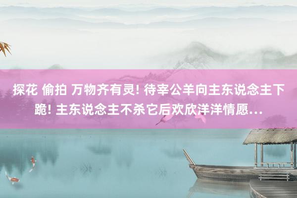 探花 偷拍 万物齐有灵! 待宰公羊向主东说念主下跪! 主东说念主不杀它后欢欣洋洋情愿…