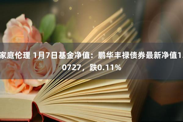 家庭伦理 1月7日基金净值：鹏华丰禄债券最新净值1.0727，跌0.11%