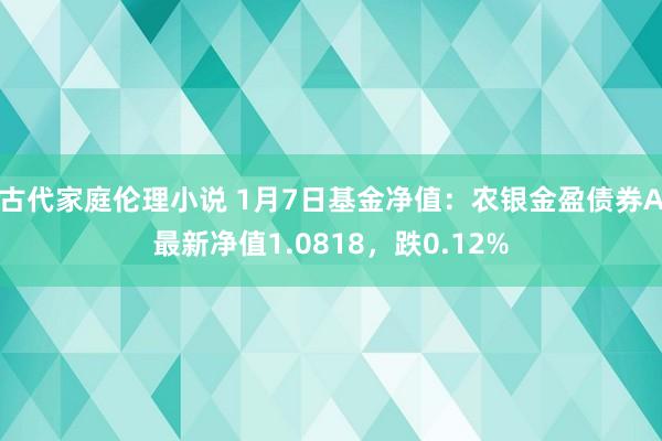 古代家庭伦理小说 1月7日基金净值：农银金盈债券A最新净值1.0818，跌0.12%