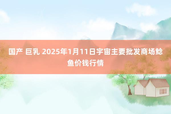 国产 巨乳 2025年1月11日宇宙主要批发商场鲶鱼价钱行情