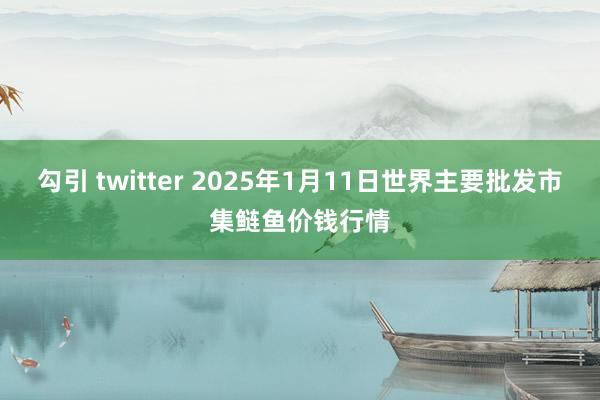 勾引 twitter 2025年1月11日世界主要批发市集鲢鱼价钱行情