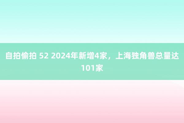 自拍偷拍 52 2024年新增4家，上海独角兽总量达101家