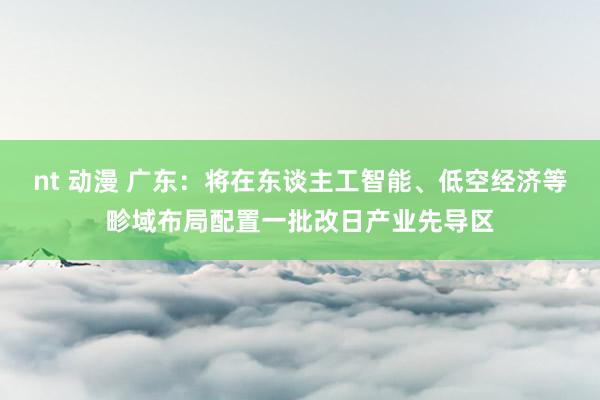 nt 动漫 广东：将在东谈主工智能、低空经济等畛域布局配置一批改日产业先导区