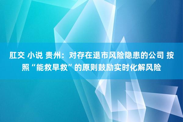 肛交 小说 贵州：对存在退市风险隐患的公司 按照“能救早救”的原则鼓励实时化解风险