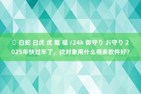 ✨白蛇 白虎 虎 龍 福 /24k 御守り お守り 2025年快过年了，找对象用什么相亲软件好？