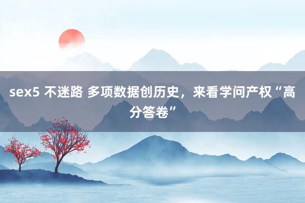 sex5 不迷路 多项数据创历史，来看学问产权“高分答卷”