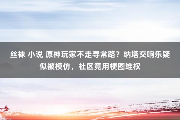 丝袜 小说 原神玩家不走寻常路？纳塔交响乐疑似被模仿，社区竟用梗图维权