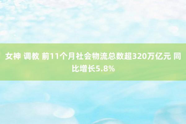 女神 调教 前11个月社会物流总数超320万亿元 同比增长5.8%