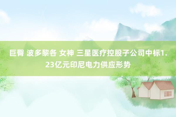 巨臀 波多黎各 女神 三星医疗控股子公司中标1.23亿元印尼电力供应形势