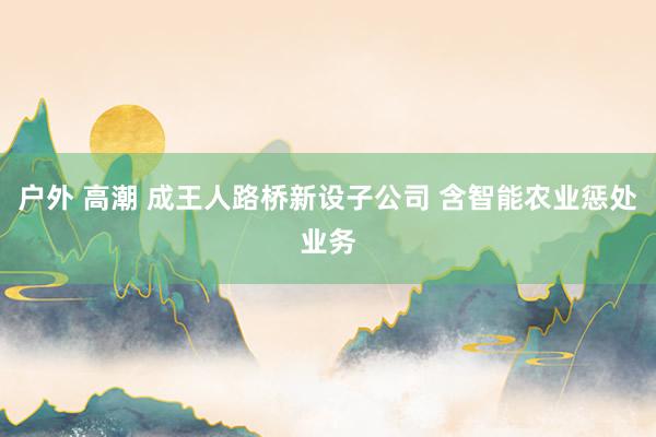 户外 高潮 成王人路桥新设子公司 含智能农业惩处业务